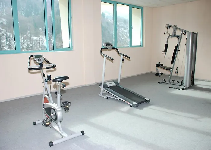 дикас Hotel Smolyan